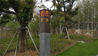 景區(qū)標(biāo)識存在的問題