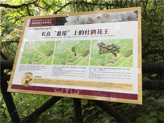 廣告標(biāo)識(shí)標(biāo)牌設(shè)計(jì)制作的一些原則 廣告標(biāo)識(shí)標(biāo)牌設(shè)計(jì)制作的一些原則